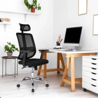Ergodu Office Chair with Adjustable Armrests