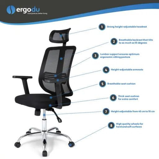 Ergodu Office Chair with Adjustable Armrests