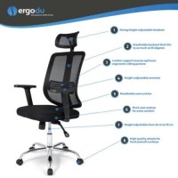 Ergodu Office Chair with Adjustable Armrests