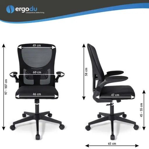 Ergodu Ergonomic Office Chair with Foldable Armrests
