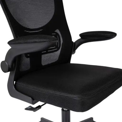 Ergodu Ergonomic Office Chair with Foldable Armrests