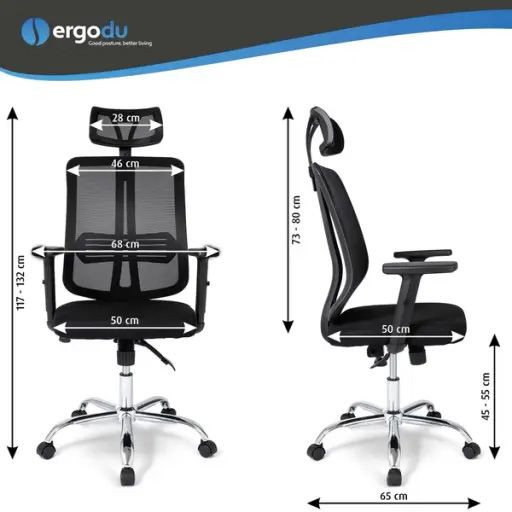 Ergodu Office Chair with Adjustable Armrests