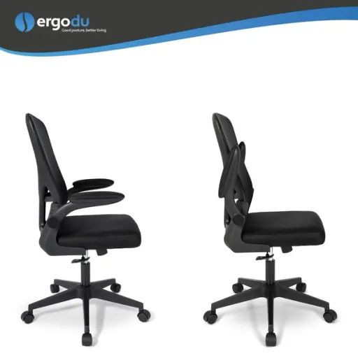 Ergodu Ergonomic Office Chair with Foldable Armrests
