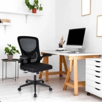Ergodu Ergonomic Office Chair with Foldable Armrests